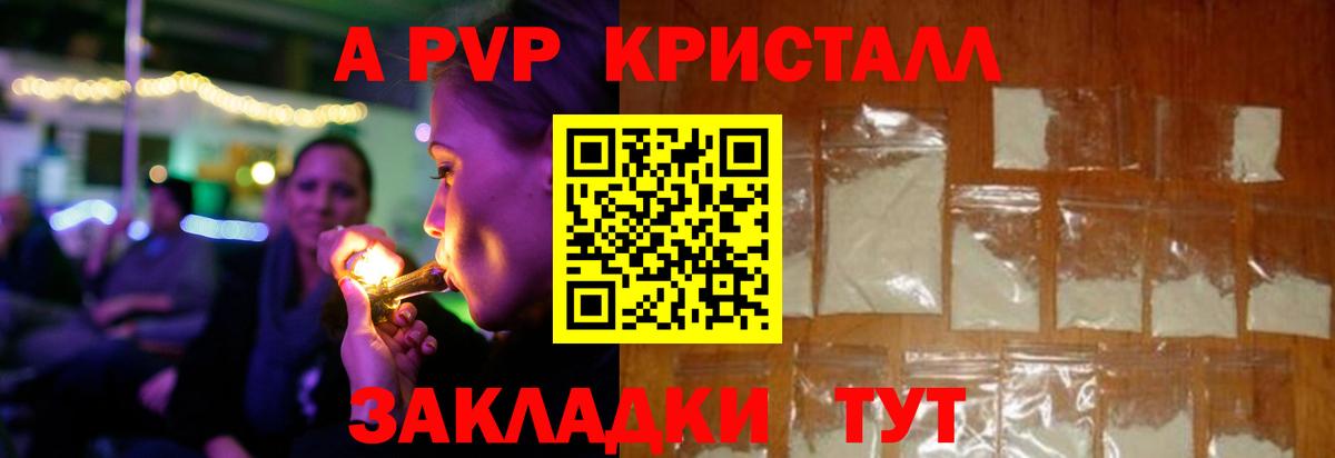 Альфа ПВП СК КРИС Дагестанские Огни