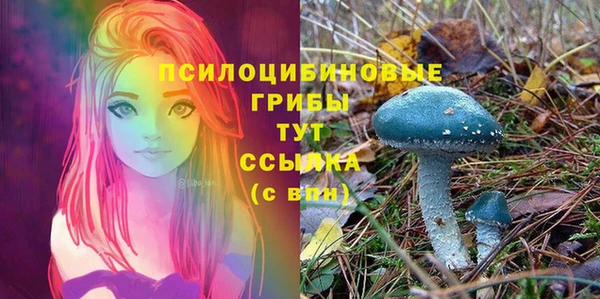 мяу мяу кристалл Гусь-Хрустальный