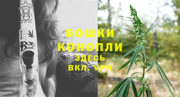 наркотики Тайга