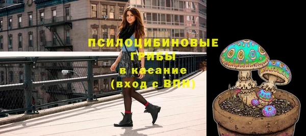 метадон Гусиноозёрск